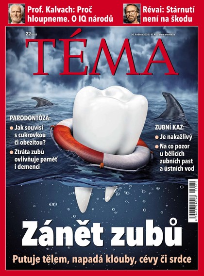 E-magazín TÉMA DNES - 30.05.2025 - MAFRA, a.s.