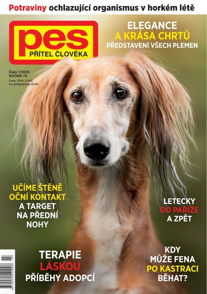 E-magazín Pes přítel člověka 7/2025 - Pražská vydavatelská společnost