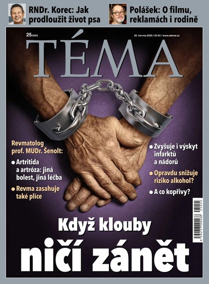 E-magazín TÉMA DNES - 20.06.2025 - MAFRA, a.s.