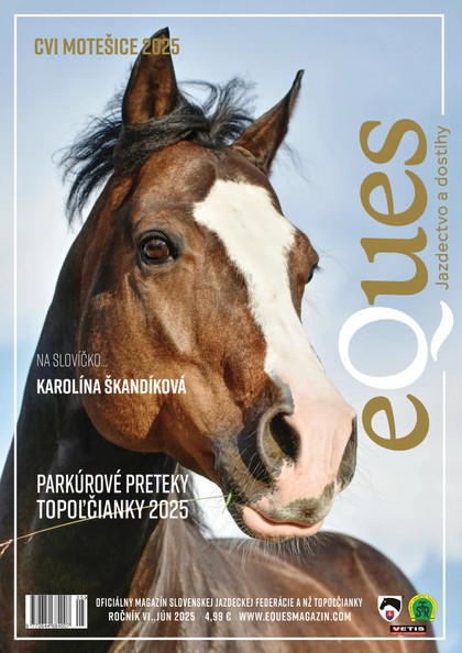 E-magazín Eques jún - Svět Kreativity