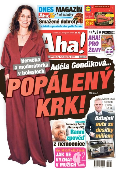 E-magazín AHA! - 20.11.2025 - CZECH NEWS CENTER a. s.