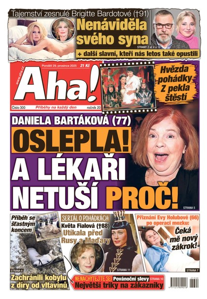E-magazín AHA! - 29.12.2025 - CZECH NEWS CENTER a. s.