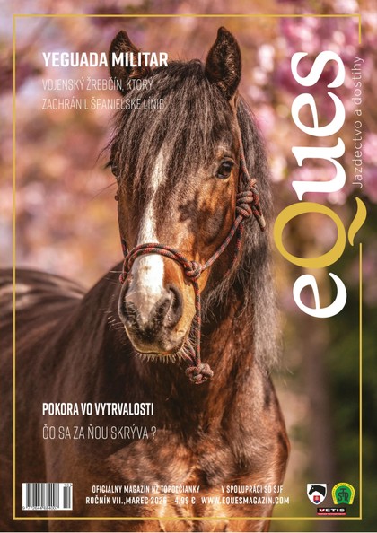 E-magazín Eques marec - Svět Kreativity