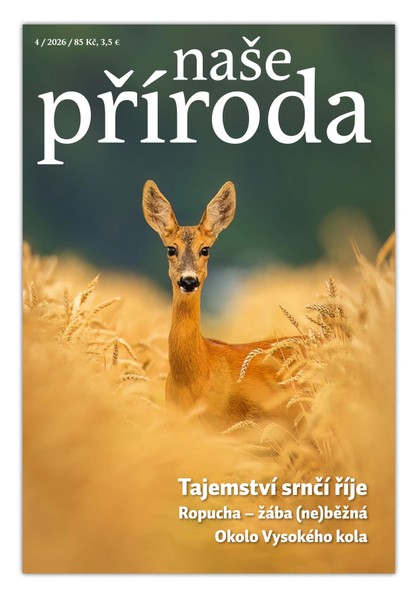 E-magazín Naše příroda 4/2026 - Naše příroda