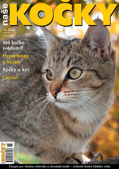 E-magazín Naše kočky, 11-2026 - Nakladatelství Minerva CZ, s. r. o.