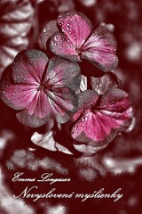 E-kniha Nevyslovené myšlienky - Emma Longauer