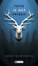 E-kniha Toto je náš príbeh - Ashley Elston