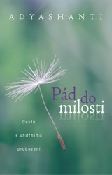 E-kniha Pád do milosti -  Adyashanti