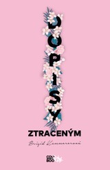 E-kniha Dopisy ztraceným - Brigid Kemmererová