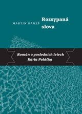 E-kniha Rozsypaná slova - Martin Daneš
