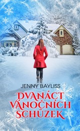 E-kniha Dvanáct vánočních schůzek - Jenny Bayliss