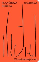 E-kniha Flanérova košeľa - Jana Beňová