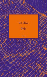 E-kniha Bóje - Vít Slíva