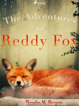 E-kniha The Adventures of Reddy Fox - Thornton W. Burgess