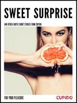 E-kniha Sweet surprise - and other erotic short stories -  Cupido