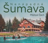 E-kniha Nenápadná Šumava - Přemysl Čech