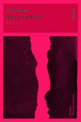 E-kniha Rozchod(y) - Claire Marin