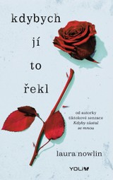 E-kniha Kdybych jí to řekl - Laura Nowlin