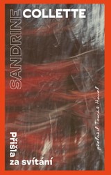 E-kniha Přišla za svítání - Sandrine Collette