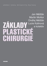 E-kniha Základy plastické chirurgie - Jan Měšťák, Martin Molitor, Ondřej Měšťák, Lucie Kalinová