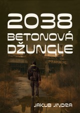 E-kniha 2038 - Jakub Jindra