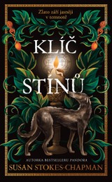 E-kniha Klíč stínů - Susan Stokes-Chapman