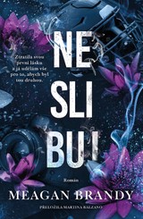 E-kniha Neslibuj - Meagan Brandy