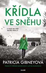 E-kniha Křídla ve sněhu - Patricia Gibneyová