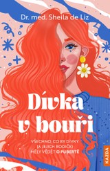 E-kniha Dívka v bouři - Sheila de Liz