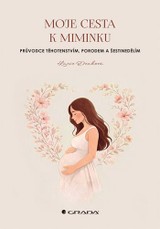 E-kniha Moje cesta k miminku - Lucie Denková