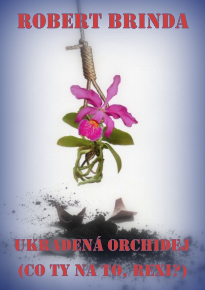 E-kniha Ukradená orchidej - Robert Brinda