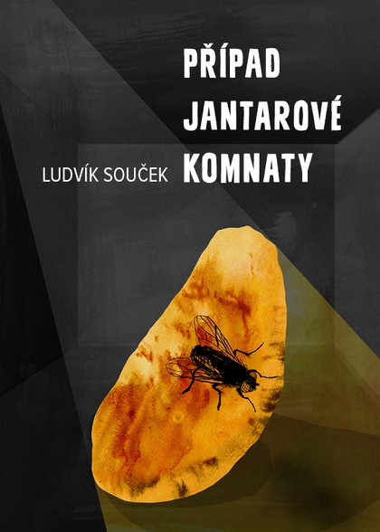 E-kniha Případ Jantarové komnaty - Ludvík Souček