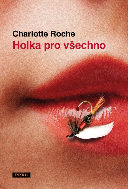 E-kniha Holka pro všechno - Charlotte Rocheová