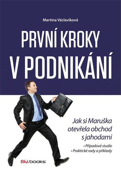 E-kniha První kroky v podnikání - Martina Václavíková