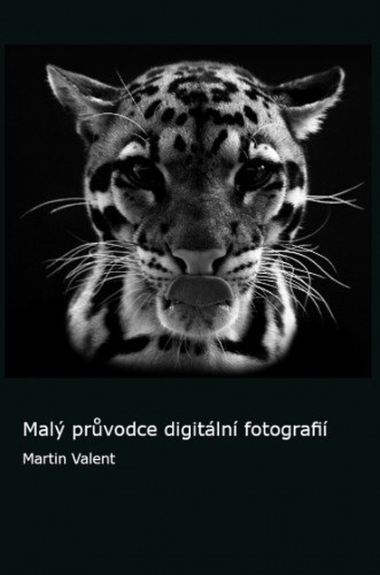 E-kniha Malý průvodce digitální fotografií - Mgr. Martin Valent Ph.D.