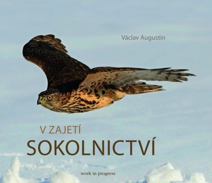 E-kniha V zajetí sokolnictví - Václav Augustin