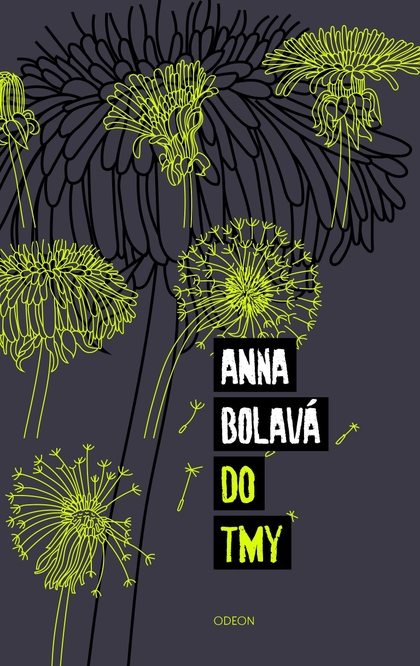 E-kniha Do tmy - Anna Bolavá