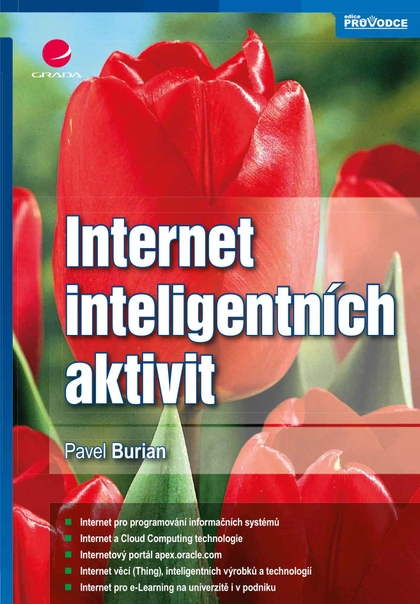 E-kniha Internet inteligentních aktivit - Pavel Burian