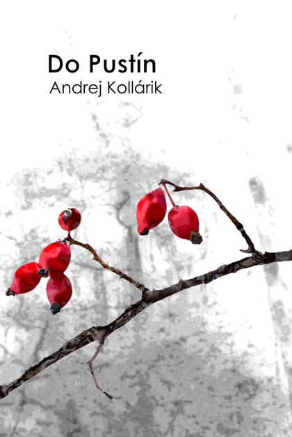 E-kniha Do pustín - Andrej Kollárik