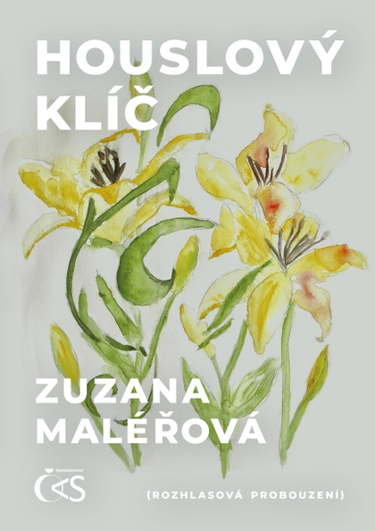 E-kniha Houslový klíč - Zuzana Maléřová