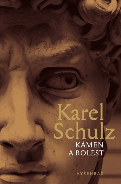 E-kniha Kámen a bolest - Karel Schulz