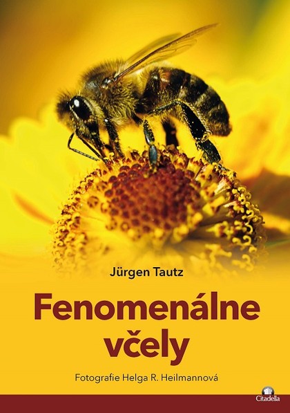 E-kniha Fenomenálne včely - Jurgen Tautz, Helda R. Heilmann