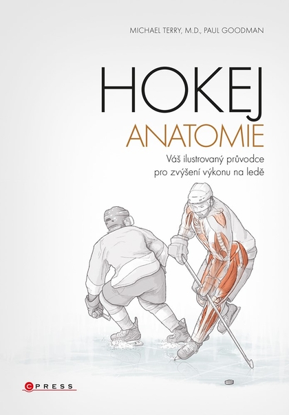E-kniha Hokej - anatomie - Michael Terry, Paul Goodman