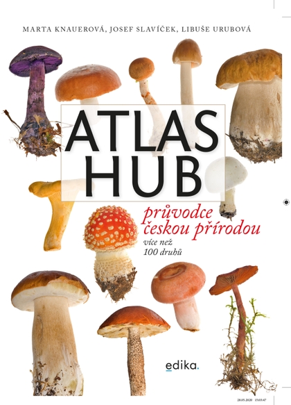 E-kniha Atlas hub - Marta Knauerová