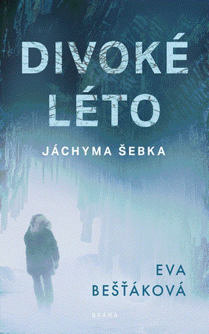 E-kniha Divoké léto Jáchyma Šebka - Eva Bešťáková