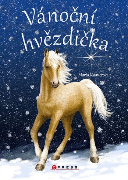 E-kniha Vánoční hvězdička - Marta Knauerová