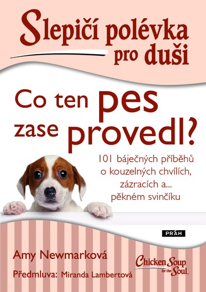 E-kniha Slepičí polévka pro duši: Co ten pes zase provedl? - Amy Newmark, Miranda Lambertová