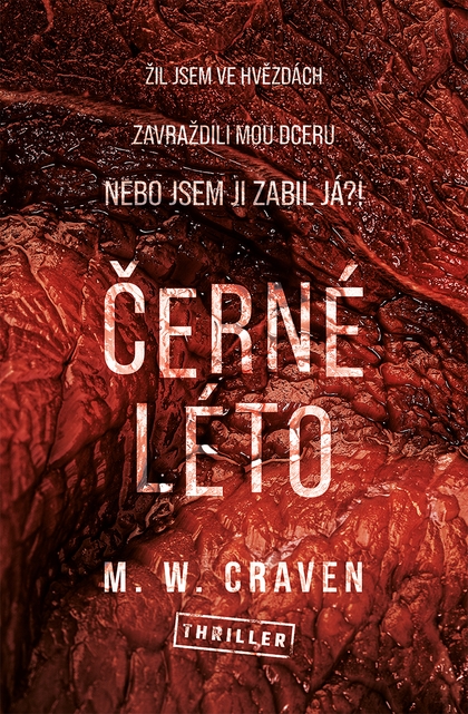 E-kniha Černé léto - M. W. Craven
