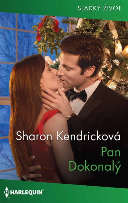 E-kniha Pan Dokonalý - Sharon Kencricková