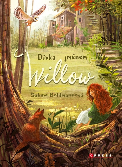 E-kniha Dívka jménem Willow - Sabine Bohlmannová